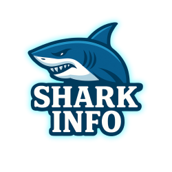 logoSemFundo